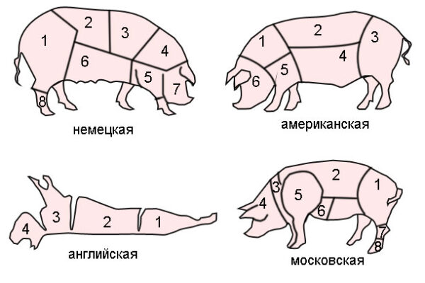 Разделка свиной туши с описанием частей