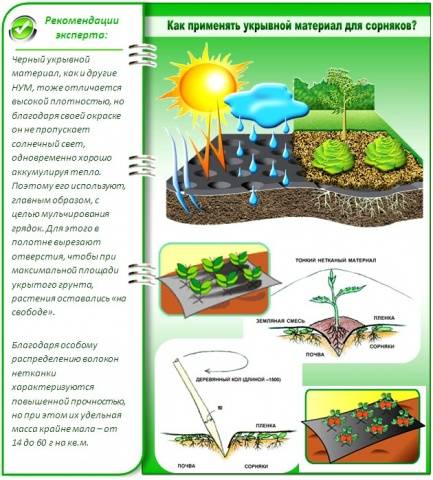 Чем накрывают грядки