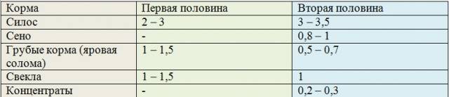 Содержание овец в домашних условиях для начинающих