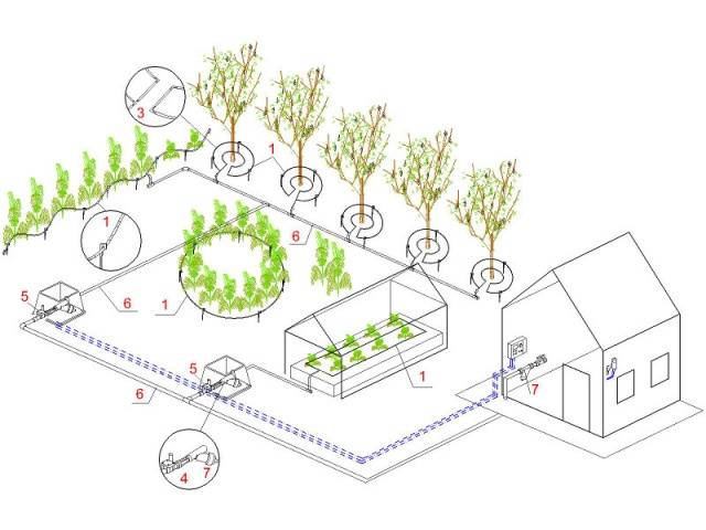 Как сделать капельный полив своими руками + видео