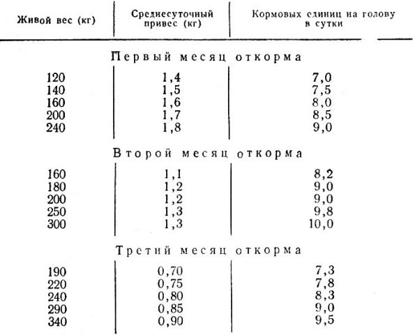 Откорм свиней: самые эффективные методы