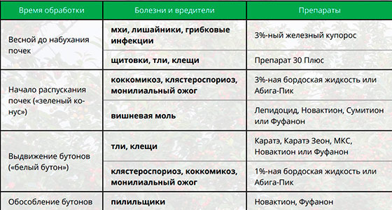 Чем весной лучше всего обработать вишню и когда это делать