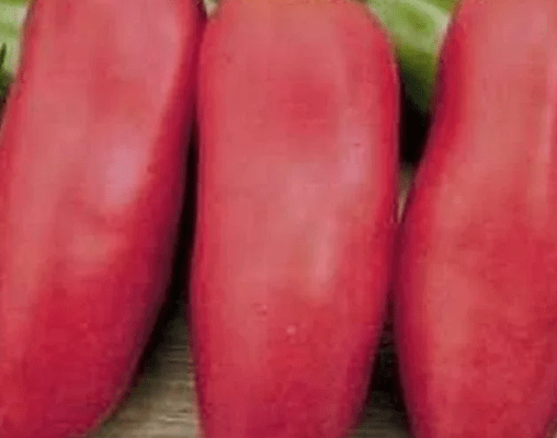 Помидоры Банан розовый: описание сорта, фото, отзывы садоводов