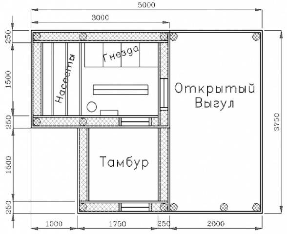 Курятник своими руками на 20 кур + чертежи