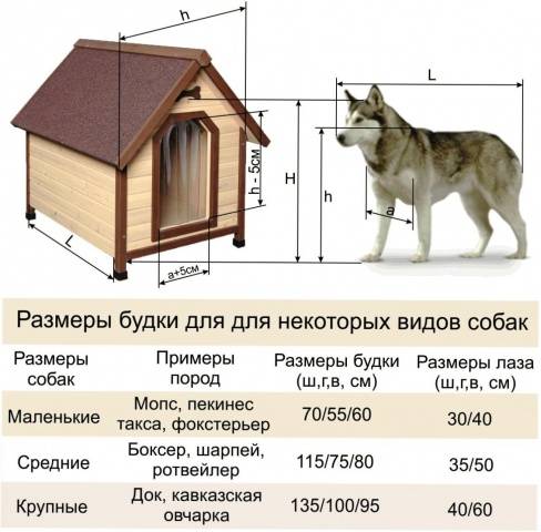 Как сделать теплую будку для собаки своими руками