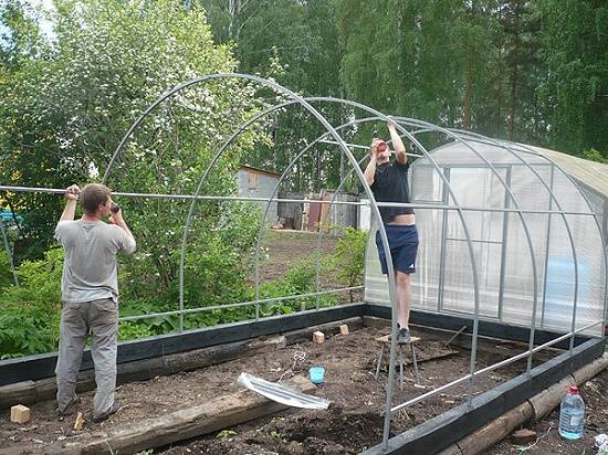 Фундамент для парника из поликарбоната своими руками