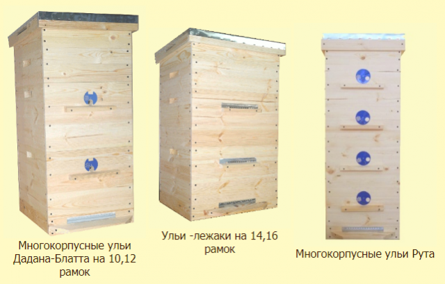 Многокорпусное содержание пчел: плюсы и минусы