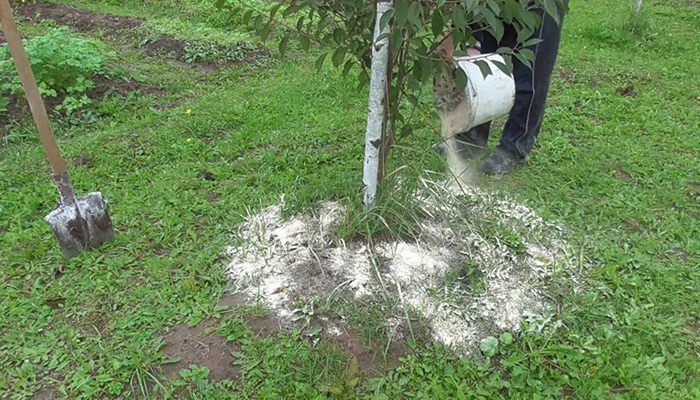 Удобрение мука известняковая доломитовая: применение на огороде и в саду