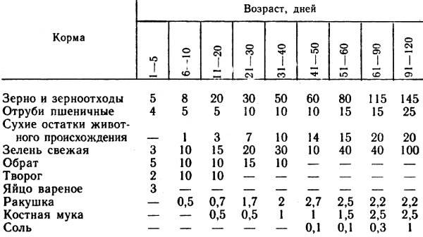 Кормление индюков в домашних условиях