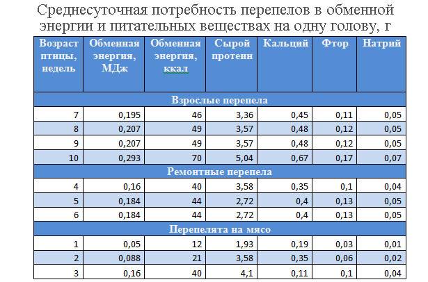 Кормление перепелов в домашних условиях