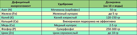 Чем подкормить сливу весной, летом и осенью?