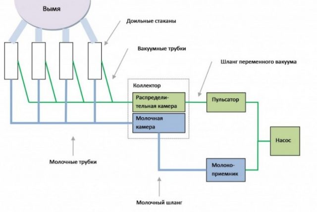 Самодельный доильный аппарат