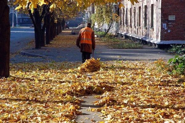 Как сделать грабли своими руками