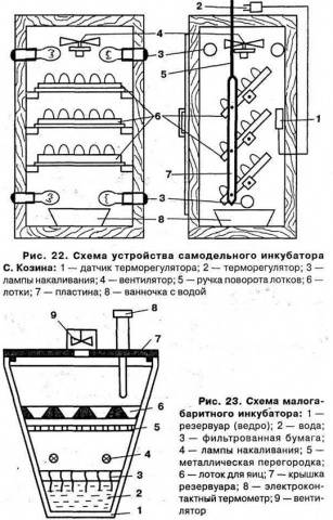 Как сделать инкубатор для перепелов своими руками