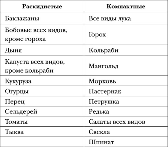 Огородные секреты – уплотненные посевы и посадки