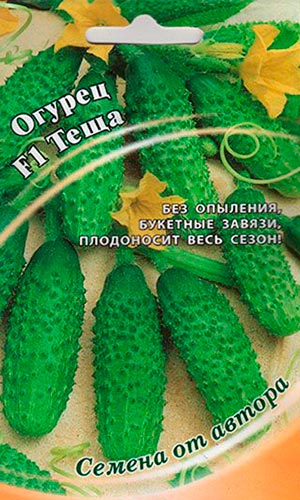 Обзор лучших гибридов и сортов огурцов для заготовок на зиму