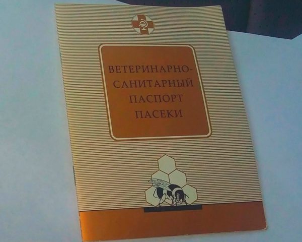 Пчеловодство для начинающих: с чего начать