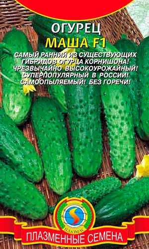 На заметку огородникам: самые высокоурожайные сорта огурцов для открытого грунта