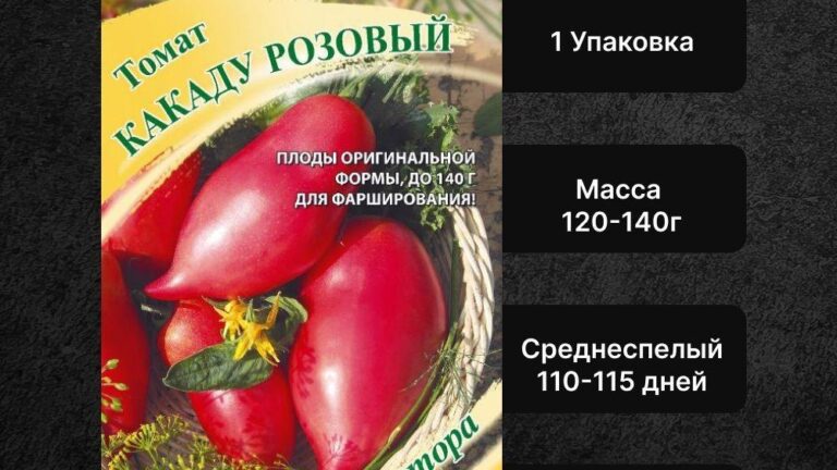 Помидоры сорта Какаду розовый: описание, фото, отзывы садоводов