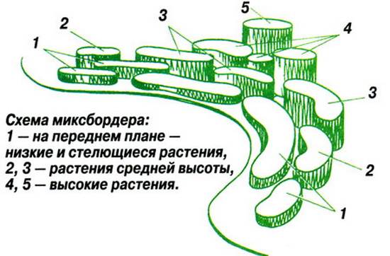 Цветник из многолетников непрерывного цветения