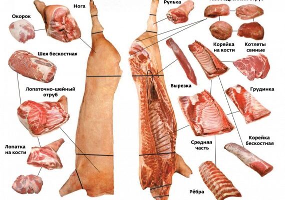 Вырезка у свиньи