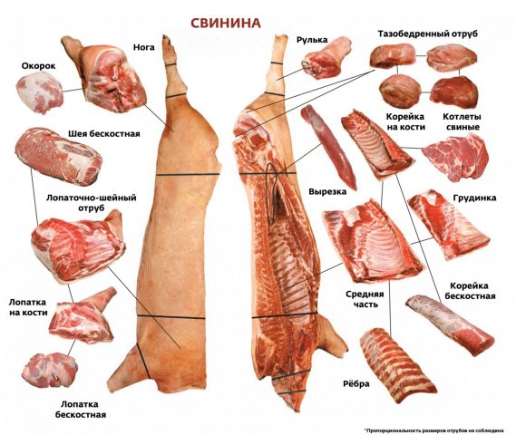 Вырезка у свиньи