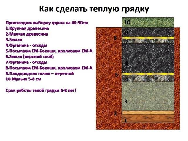 Теплые грядки своими руками: пошаговое изготовление