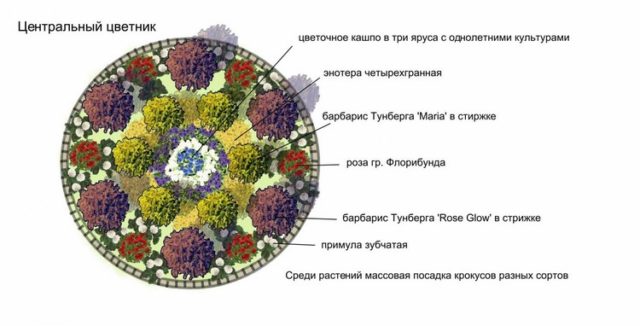 Оформление круглой клумбы: роскошные идеи + вдохновляющие фото