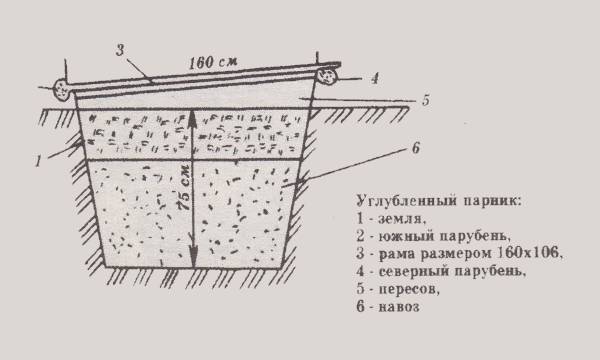 Как сделать парник