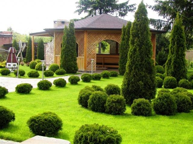 Ландшафтный дизайн маленького двора частного дома + фото