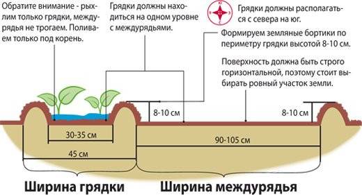 Узкие грядки по методу Митлайдера