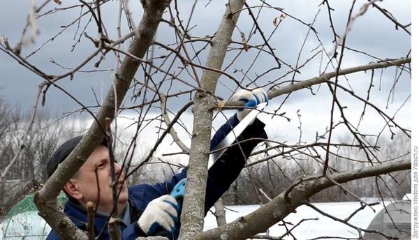 Нужно не только убрать последствия, но и предупредить возможные проблемы в будущем