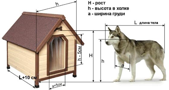 Нюансы простоты или как смастерить из бруса собачью будку