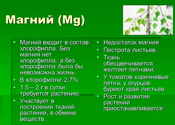 Как применять сульфат магния для подкормки растений