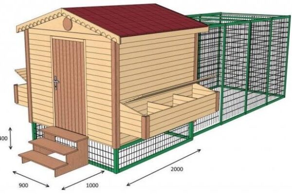Курятник своими руками на 20 кур + чертежи