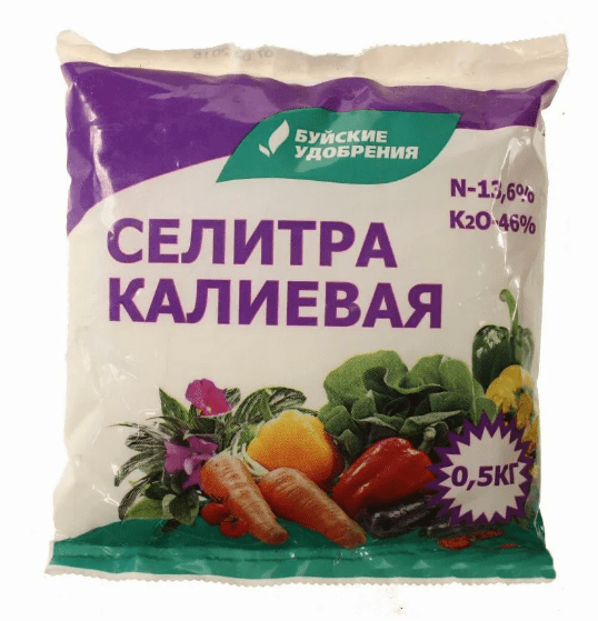 Нирембергия: что за цветок, фото, описание, посадка и уход в открытом грунте, когда сеять