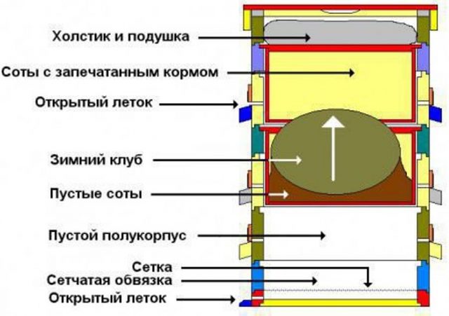 Как зимуют пчелы в пластиковых ульях