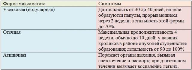 Болезни у кроликов и как их лечить