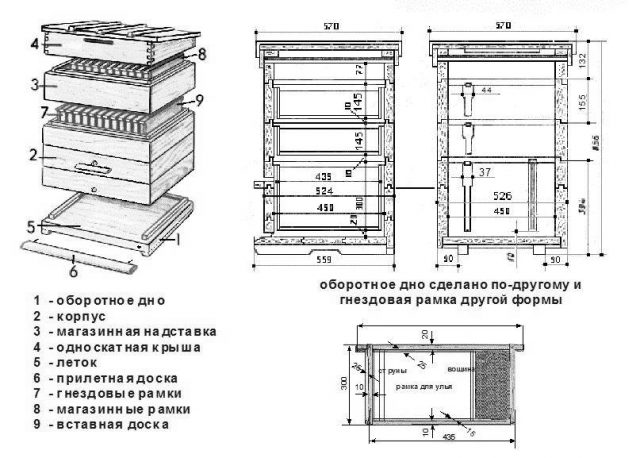 Многокорпусное содержание пчел: плюсы и минусы