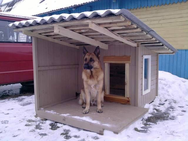 Как сделать будку для собаки