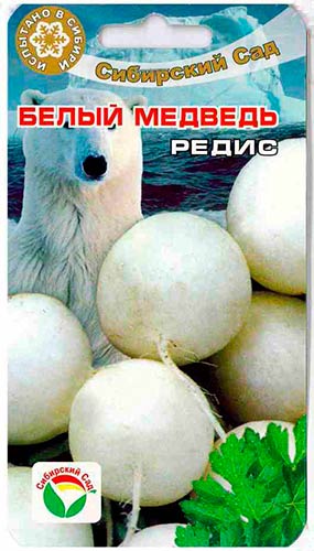 Самые популярные сорта редиски для выращивания в открытом грунте