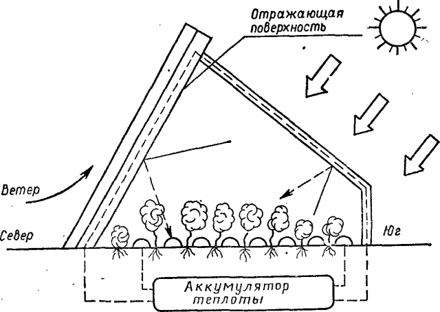 Как сделать парник