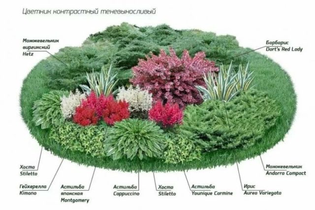 Оформление круглой клумбы: роскошные идеи + вдохновляющие фото