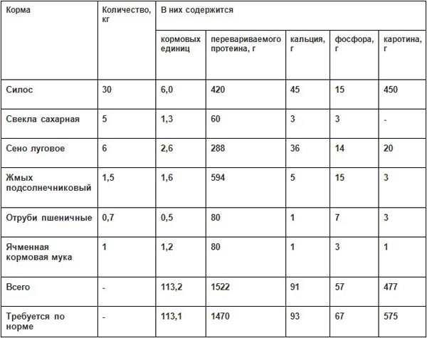 Дойка первотелки