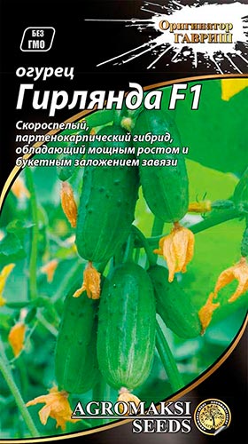 Урожайные сорта огурцов, которые можно посадить в тени