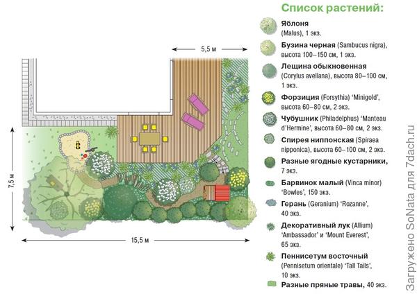 План №2 участка