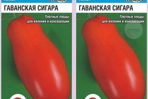 Помидоры Гаванская сигара: описание сорта, фото, отзывы