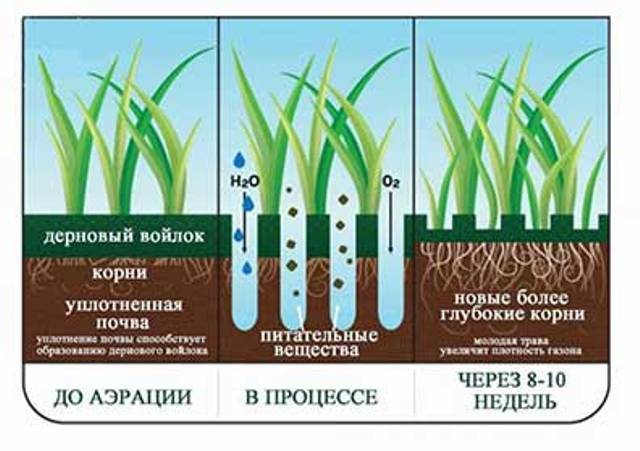 Аэраторы для газона: механические, электрические и бензиновые