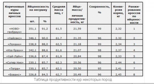 Породы кур-несушек с фотографиями и названиями