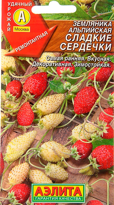 Рейтинг лучших сортов садовой земляники: по регионам и срокам созревания